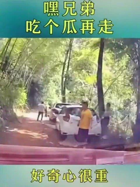 吃瓜群众出处和来源