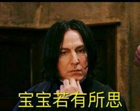 hp 1表情包,揭秘魔法世界的幽默瞬间